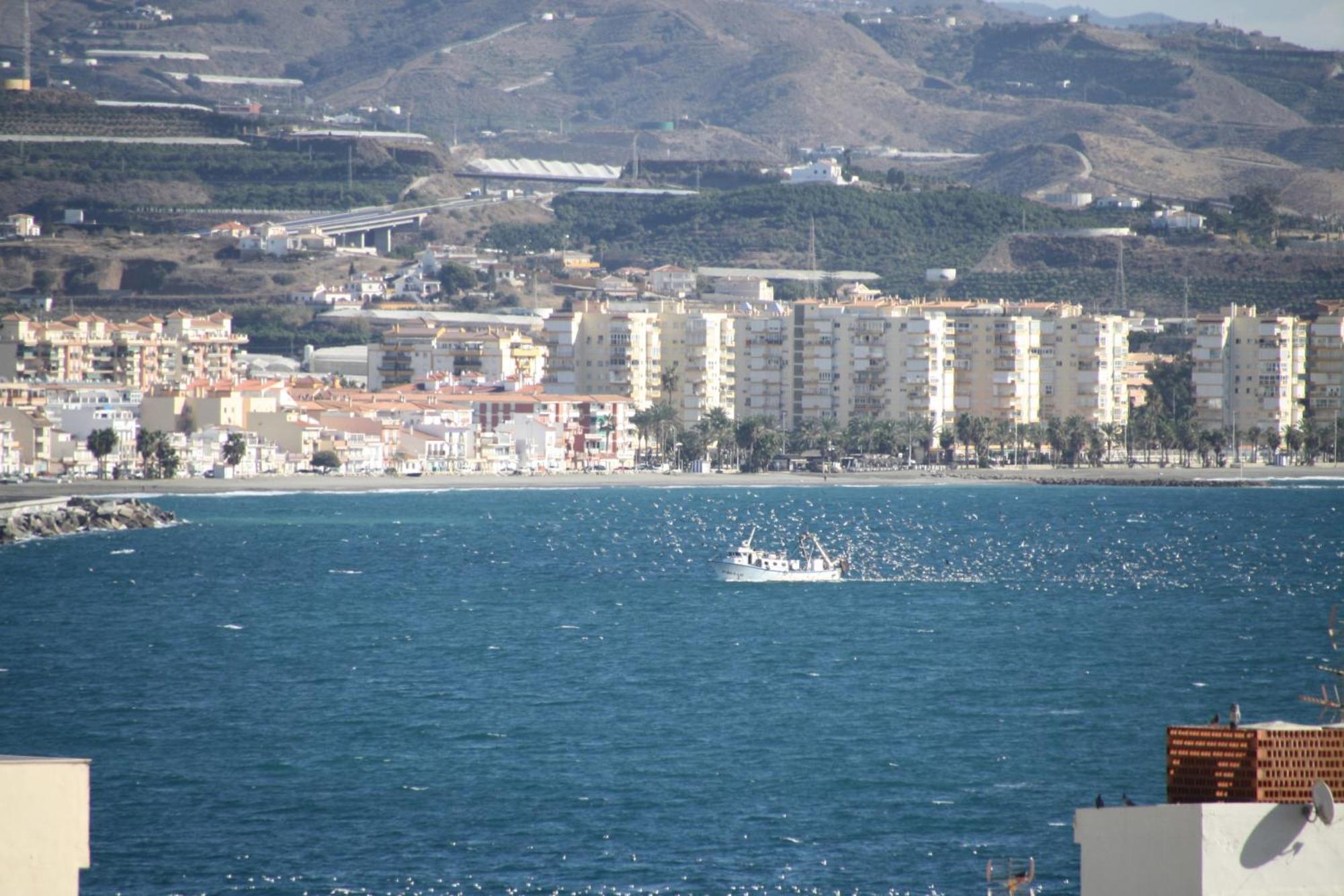 Estudio Plazamar Beach Torre Del Mar Exterior photo